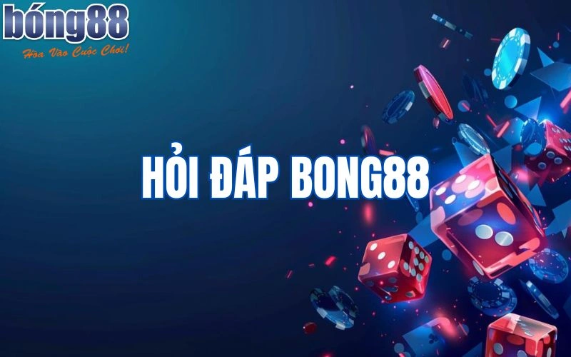 hoi-dap-bong88